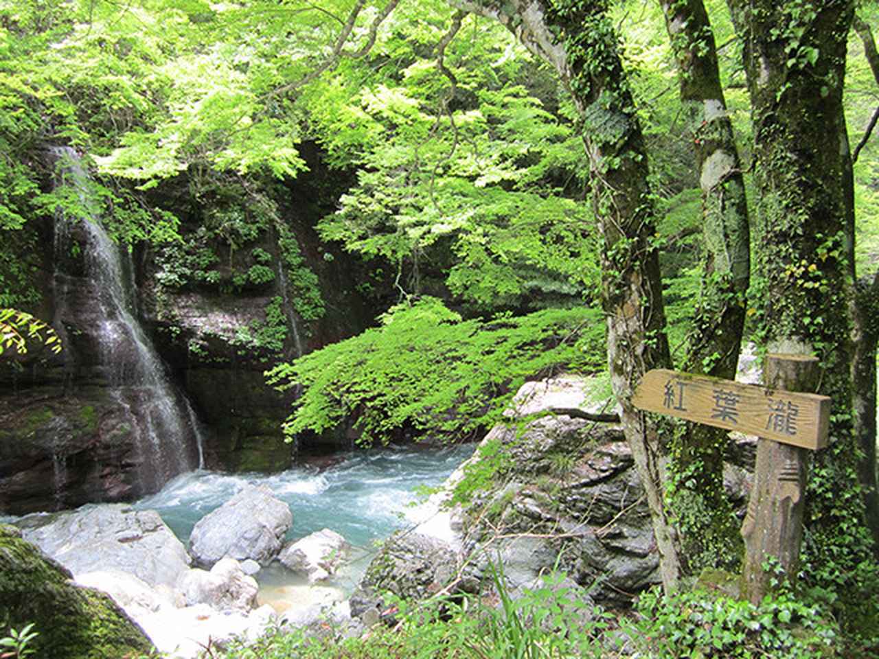 画像: 8:30 県立自然公園にも指定されている景勝地、中津渓谷を散策