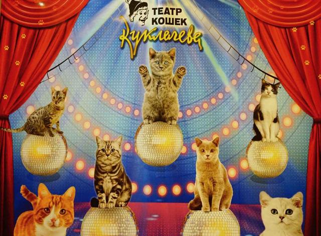 画像2: ククラチョフ猫劇場