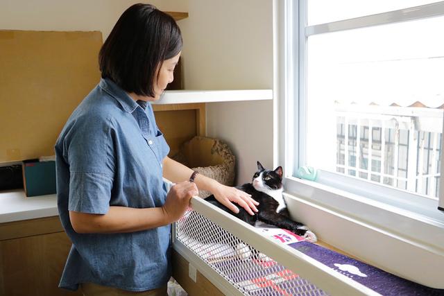 画像: 灰灰基地美術館 本当に猫がいる