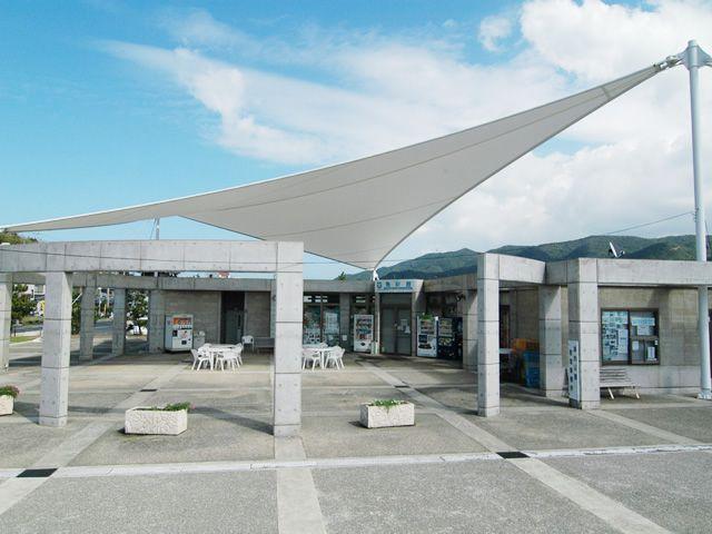 画像: 13:30 魚彩館