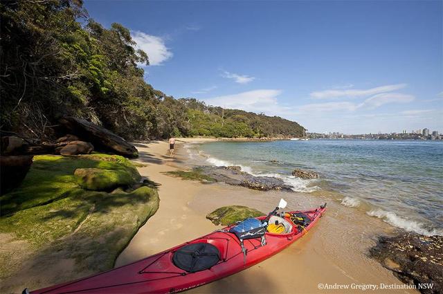 画像: Sydney Harbour Kayaks(シドニー ハーバー カヤックス)