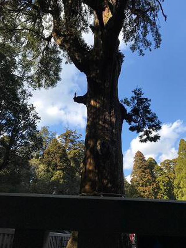 画像11: (鹿児島)「関平鉱泉水と温泉の街 きりしま」