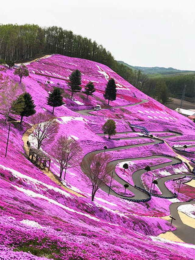 画像5: 網走市の魅力