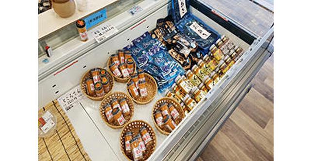 画像4: 道の駅 天草市イルカセンター