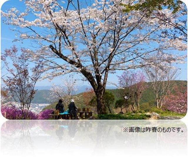画像13: (高知)「奇跡の清流仁淀ブルーを体感!仁淀川エリアをレンタサイクルで周遊の軌跡」