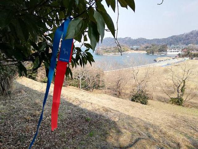 画像4: (宮城)癒しと共に生きる道「宮城オルレ」~海と空を満喫する奥松島コース~