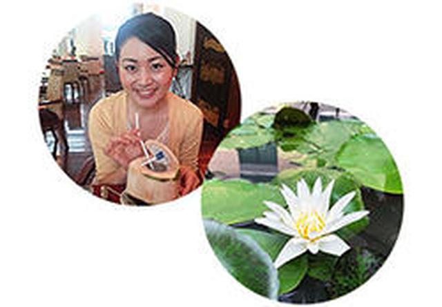 画像9: バンコクのおいしい!かわいい!の魅力とは?