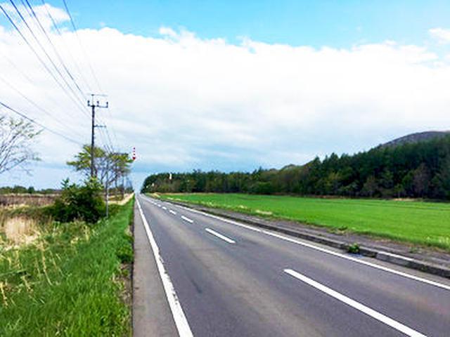 画像6: (北海道)大自然の中を駆け抜ける 弟子屈町「グランフォンド摩周」