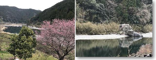 画像8: (高知)「奇跡の清流仁淀ブルーを体感!仁淀川エリアをレンタサイクルで周遊の軌跡」