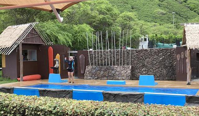 画像13: (ハワイ)現地スタッフが体験!~シーライフパーク~
