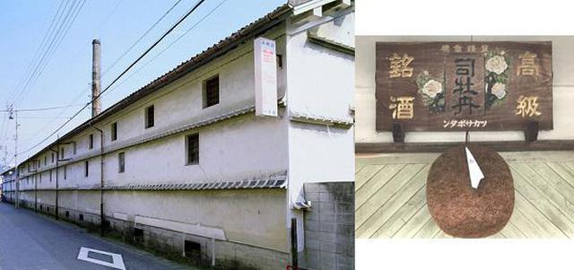 画像12: (高知)「奇跡の清流仁淀ブルーを体感!仁淀川エリアをレンタサイクルで周遊の軌跡」