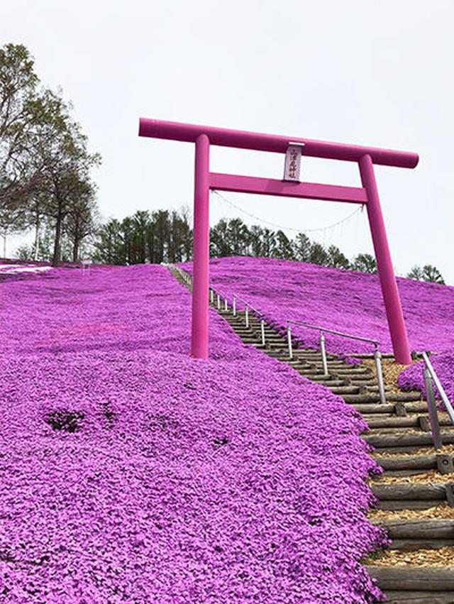 画像3: 網走市の魅力