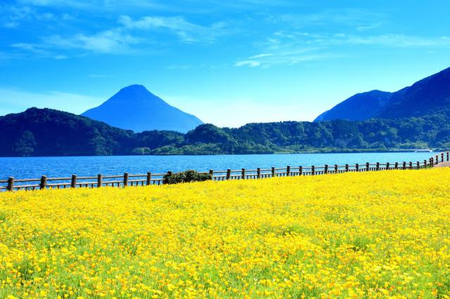 画像1: おもてなし日本一のマラソン大会『いぶすき菜の花マラソン』ってどんな大会?
