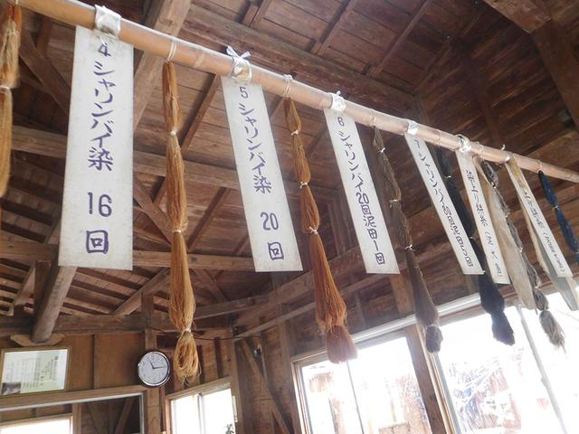 画像: 大島紬に使うシルクの糸を染める職人さん。シャリンバイの成分と泥の成分が反応して色が付きます。