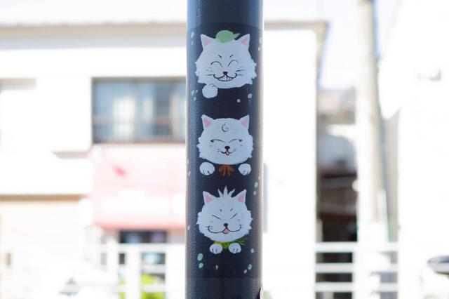 画像: 商店街を歩きながら、猫を探すのも楽しみのひとつ。