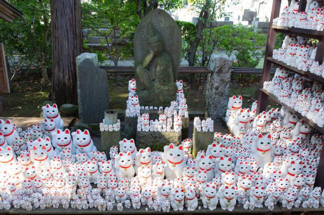 画像2: 見どころが多彩な境内へ