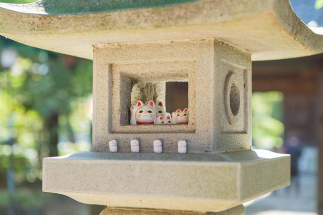 画像: 「たまにゃん祭り」&「沖縄祭り」。豪徳寺が盛り上がるお祭りにもご注目を