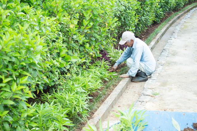 画像2: 沖縄県最古の民家「上江洲家(うえずけ)」で地元の人との触れ合う