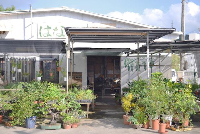 画像: よく足を運ぶという野菜の直売所。散歩のコースでつくられた野菜なども並んでいるというほどに生産者との距離が近い