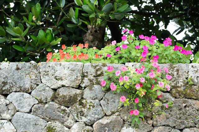 画像3: 沖縄県最古の民家「上江洲家(うえずけ)」で地元の人との触れ合う