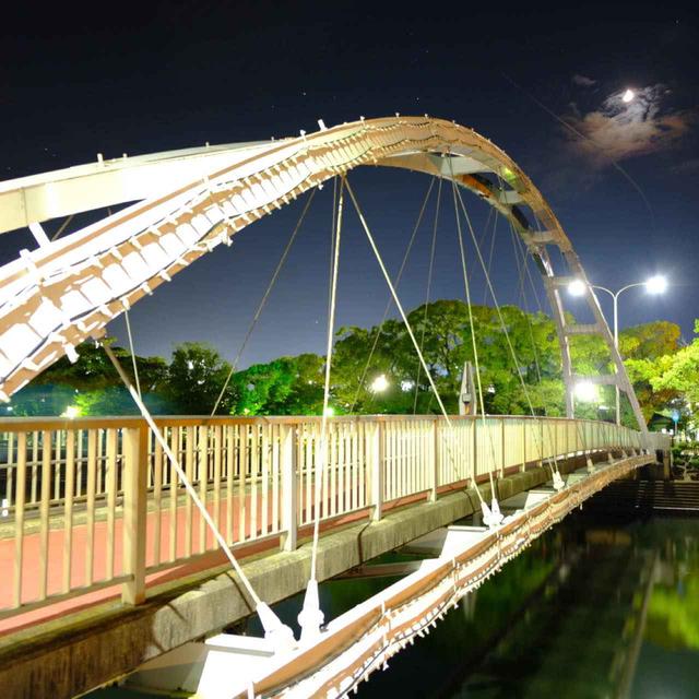 画像: しっかり食べた後はライトアップされた「アルバカーキ橋」を通りながらホテルまで戻りました。この橋は、ニューメキシコ州アルバカーキ市との姉妹都市提携の折に架けられました。中心街の百貨店「玉屋」前の通りから佐世保公園へとつながります。日米の友好的な関係が、この橋のようにこれからも続いていくように、との願いが込められています。