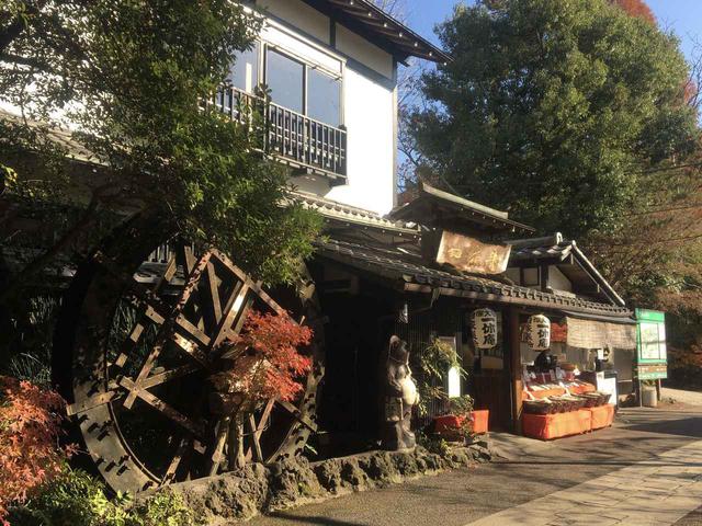 画像1: 一休庵:香りにこだわった新鮮そばと自家製団子