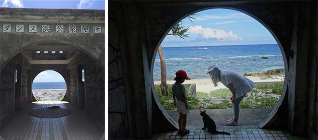 画像4: 「与那国島」の最新アクティビティをご紹介