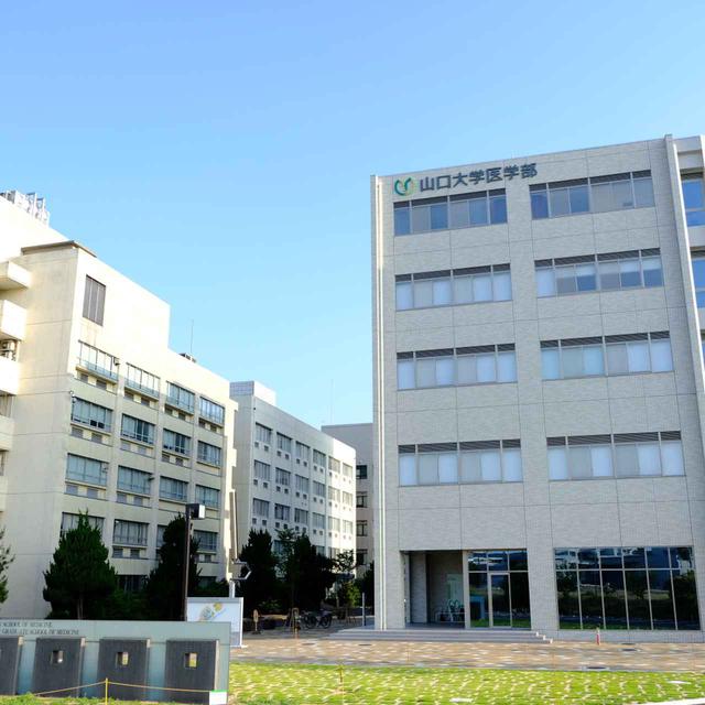 画像: 途中、川沿いには「山口大学医学部」がありました。宇部市は市の規模に対する病院や医師の数が多い街としても有名。山大医学部は前身の医学専門学校として戦中に創設されており、歴史がある名門医学部です。