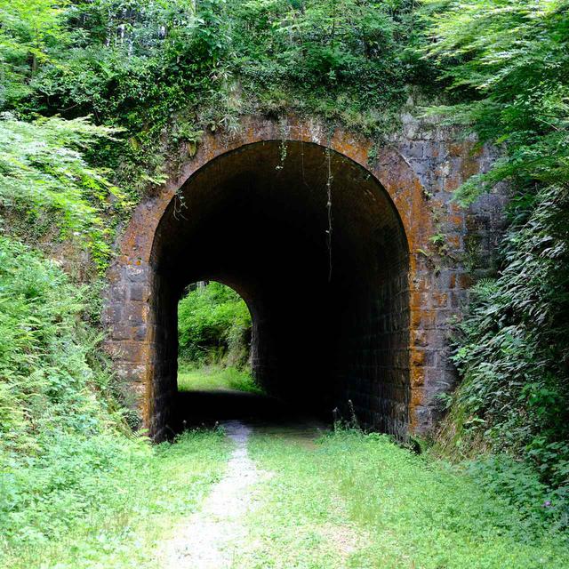 画像: そうして到着するのが石積みと煉瓦で造られた「大棚トンネル」です。ジブリ感!