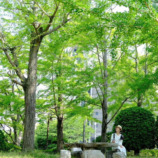 画像: その精神が受け継がれ、今でも花と緑がたくさん植えられた自然豊かな街の風景を作り出しています。