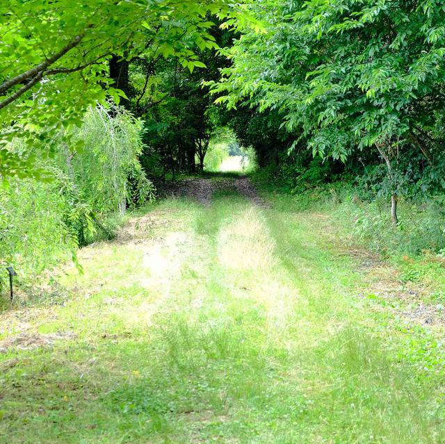 画像: それは「船木鉄道」の線路跡。戦中の鉄の供出により廃線、その後荒廃していたようですが、地元の方たちの手により整備され、小学校から歩いて見に行けます。小学校裏手から土手を登り進むこと数百メートル。