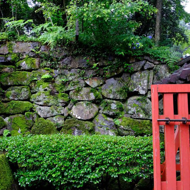 画像: 石垣も大変趣があります。雨のおかげで風景が色濃くなり、より厳かな雰囲気に感じられました。