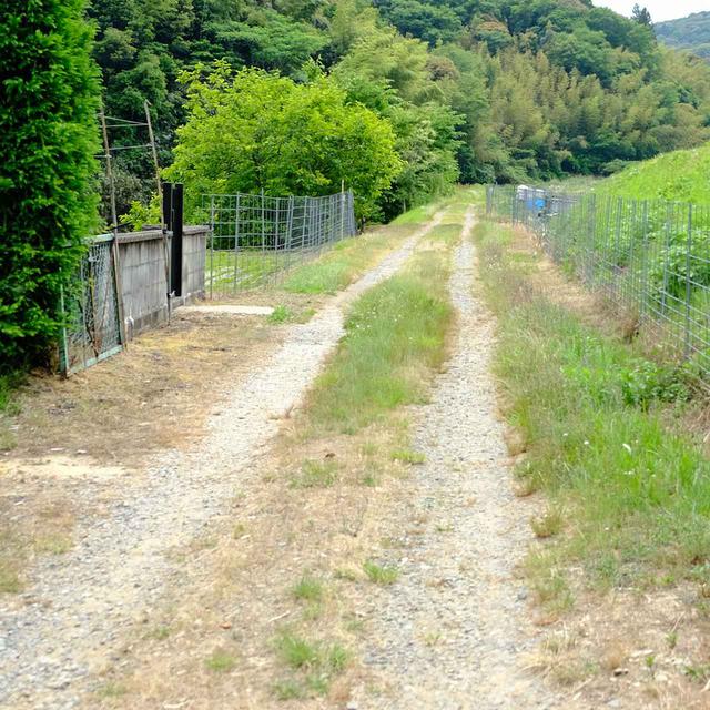 画像: いまでもくっきりと線路があった跡が目に見えます。切通しになっていたようですが脇には田畑もあってイノシシ除けの柵が掛けてあります。
