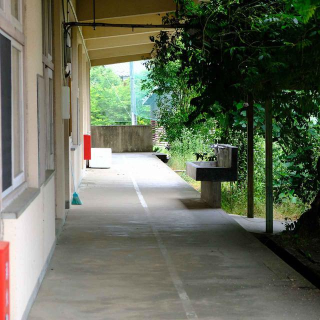 画像: 建てられた年数はわからないのですが、外から教室に入室する“外廊下”ってなんとなく歴史を感じますね。