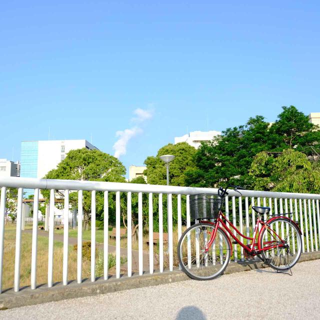 画像: 市内に点在する彫刻を自転車で美術鑑賞してみました。固まって展示されていたり、幹線道路沿いにあったりするのでわかりやすく、徒歩で見て回ることも可能です。