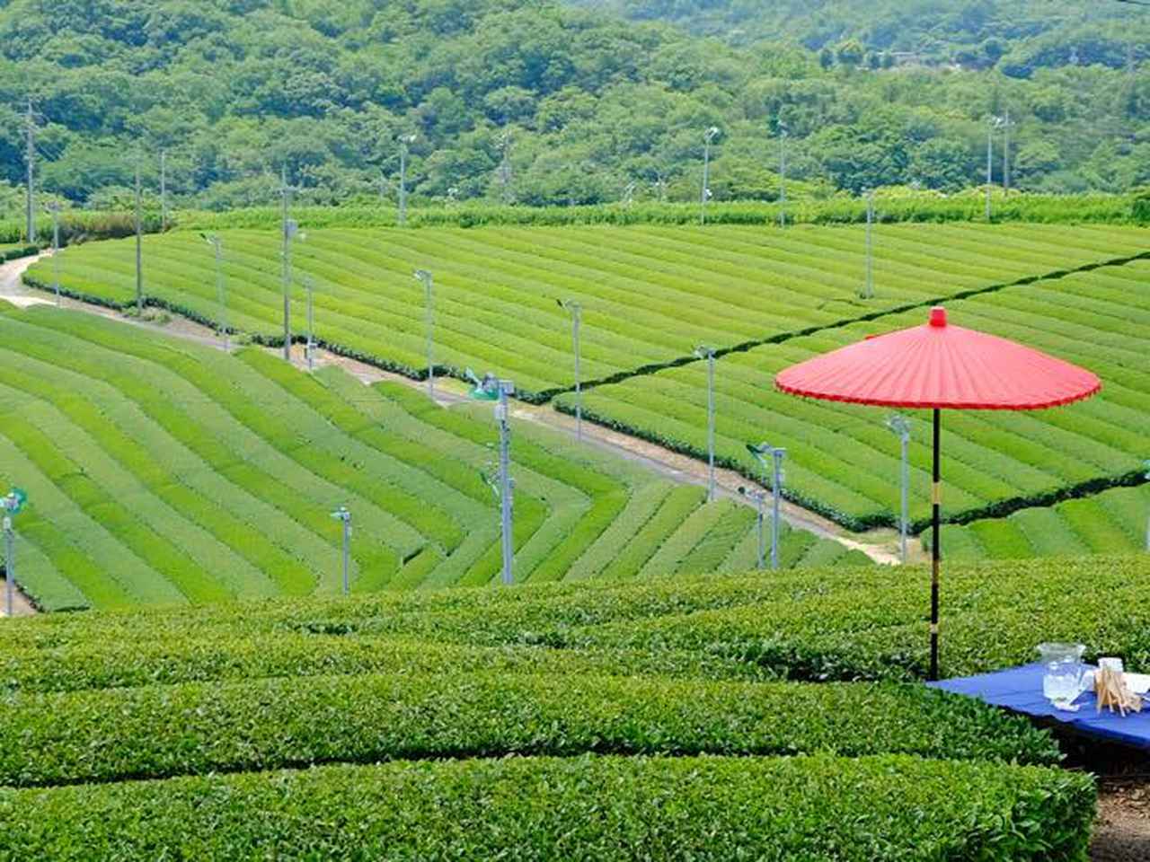 緑と現代アートの融合、そして誇れる産業がある街・山口県宇部市の旅(前編) (2/2) - OnTrip JAL