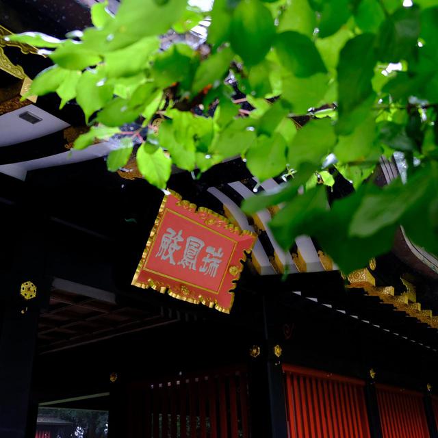 画像: 悪天候により、ゆっくり…というわけにはいきませんでしたが、伊達家の威風をしっかりと感じられる史跡でした。長い坂と階段があるので、歩きやすい靴でお参りすることをオススメします。