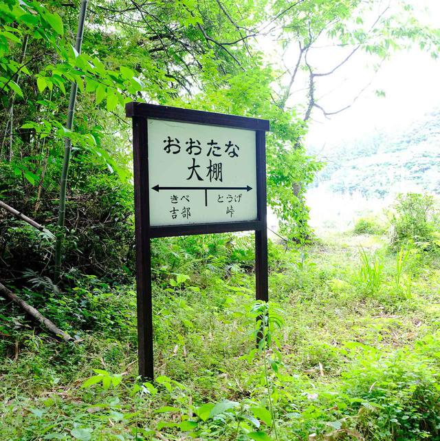 画像: 地元の人たちがこの場所を盛り上げようと作った大棚駅名看板。廃線ツアーなどで訪れる人も多くなってきているスポットなのだそうです。
