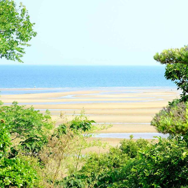 画像: 茶宗天地は今年オープンしたばかりの日本茶庭園カフェ。ビーチ沿いの高台にあり、お店からも海や庭園が一望できます。