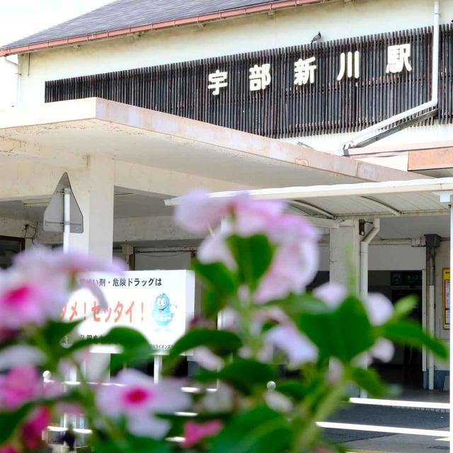 画像: 夕方に近づく時間帯。お茶を訪ねてもう一軒。今度は宇部線に乗って海へ向かいます。