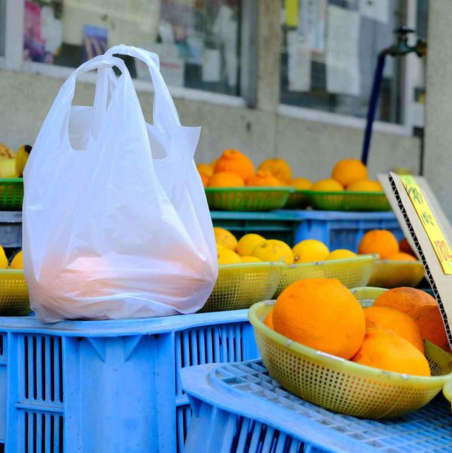 画像: たくさんの種類の中から「せとか」と「清見」をチョイス。
