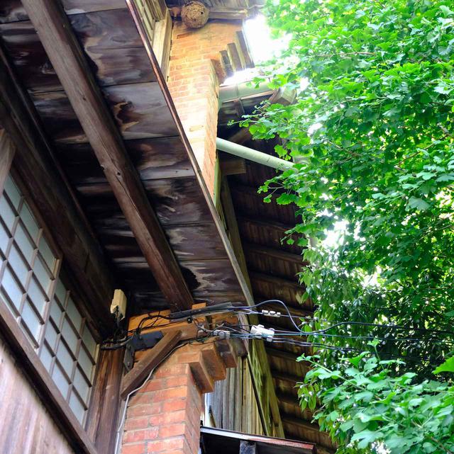 画像: 建物の間にレンガを挟み、耐火を行っているということです。発展した歴史をきちんと残そうと考えられた街づくりの様子が見られました。静かで穏やかな時間を過ごせる場所です。朝から夕方まで八幡浜をしっかり楽しみ、松山に戻ります。