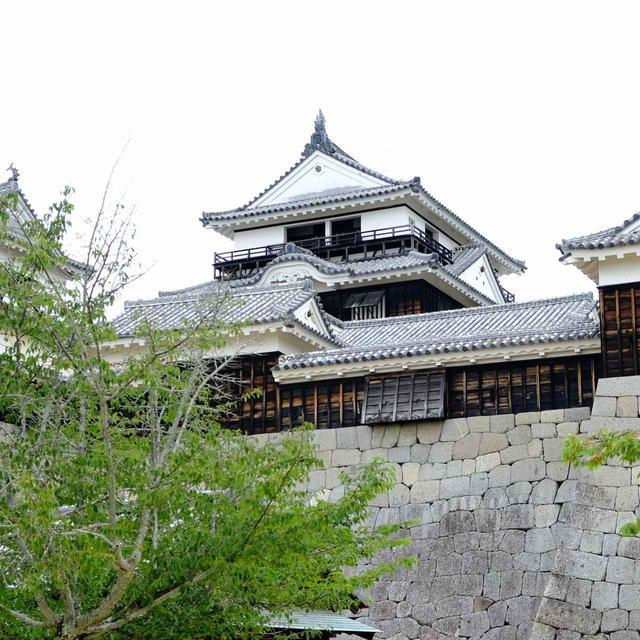 画像: 出窓のように見えるのも石落とし。あちらこちらに戦術が散りばめられています。