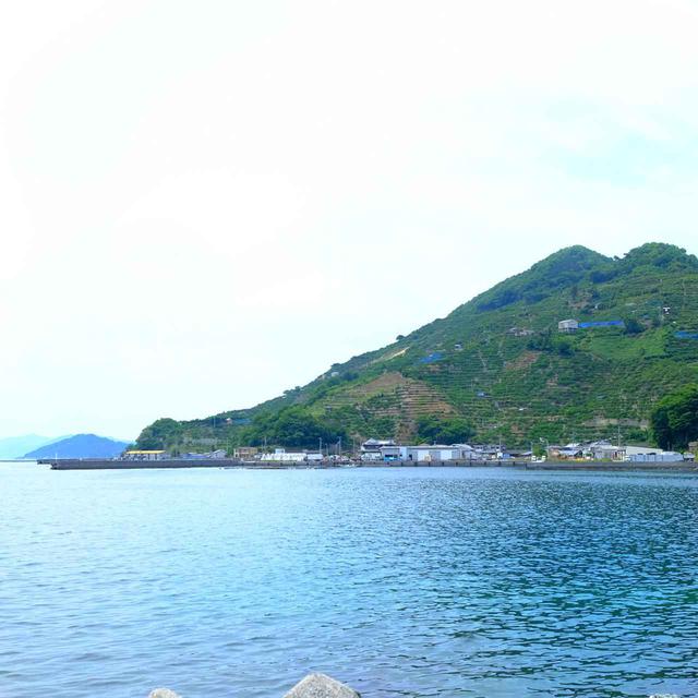 画像: 遠目に見るとこんな感じです。海はきれいだし緑は濃くて癒される景色でした。