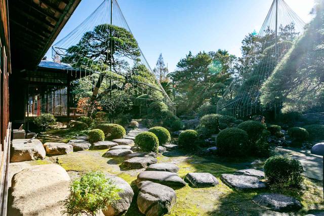 画像4: 世界も認める日本庭園を眺めながら抹茶を嗜む「山本亭」