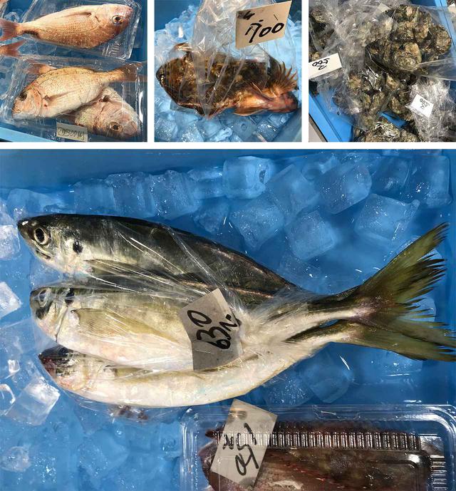 画像9: 鷹島の「とらふぐ」と「くろまぐろ」