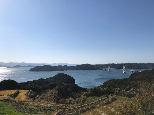 画像1: 鷹島の「とらふぐ」と「くろまぐろ」
