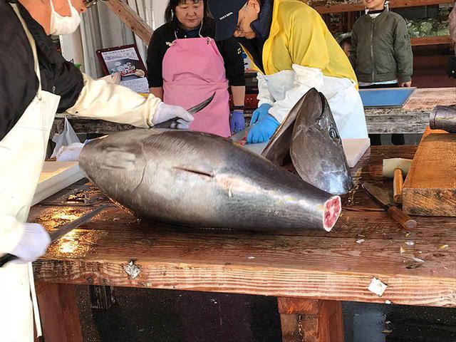 画像5: 鷹島の「とらふぐ」と「くろまぐろ」