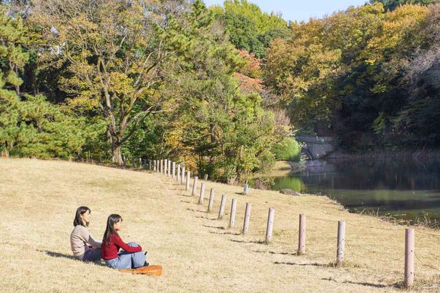 画像2: 明治神宮屈指のパワースポット、亀石