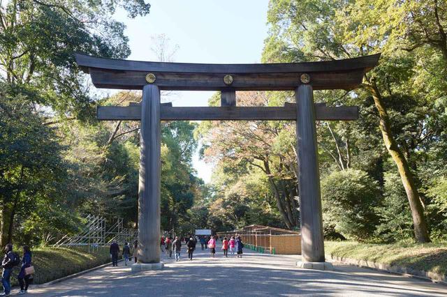 画像: 厳かな雰囲気が漂う日本一の大鳥居